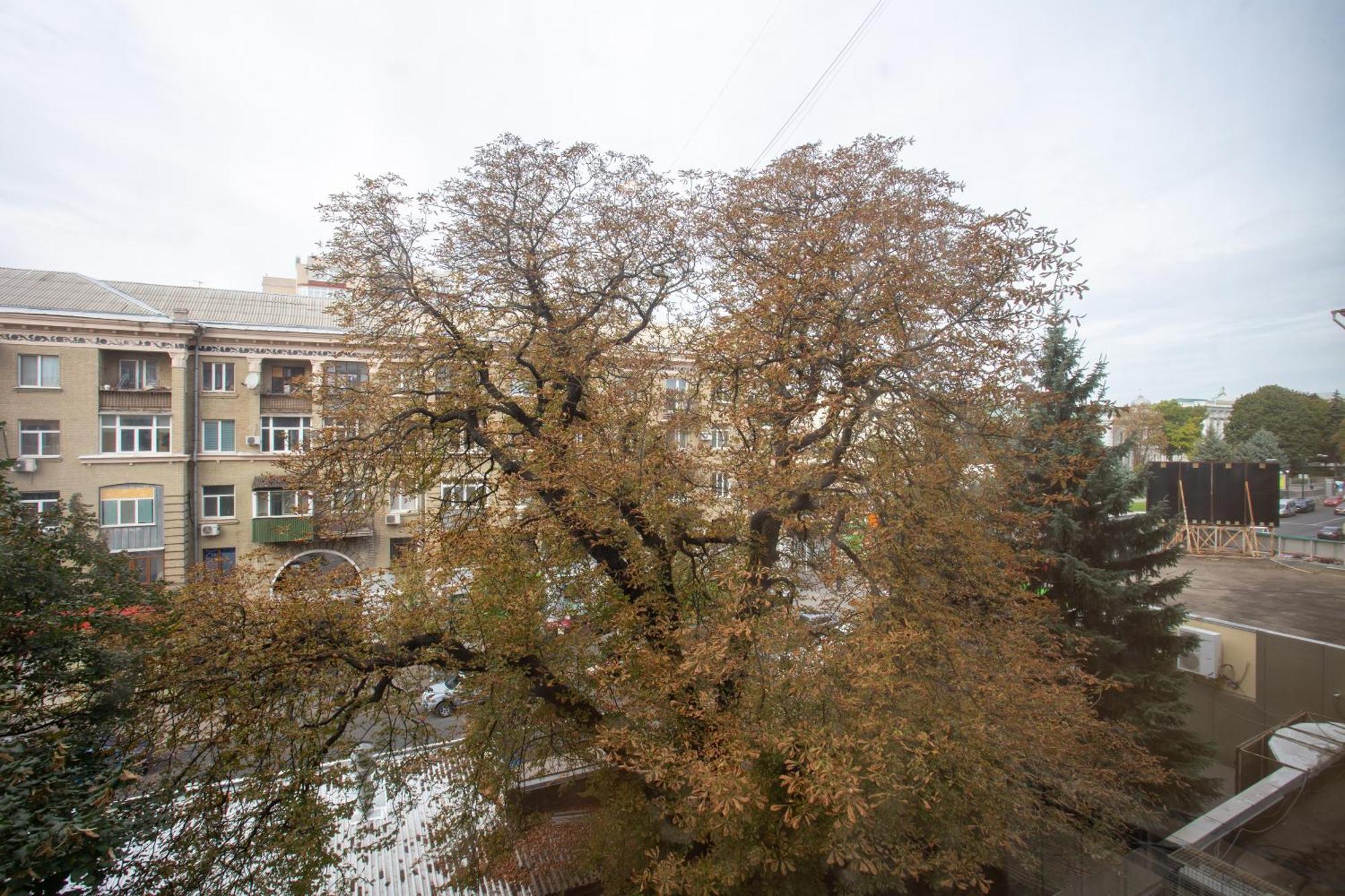 Royal Apartment On Pushkinskaya Харков Екстериор снимка